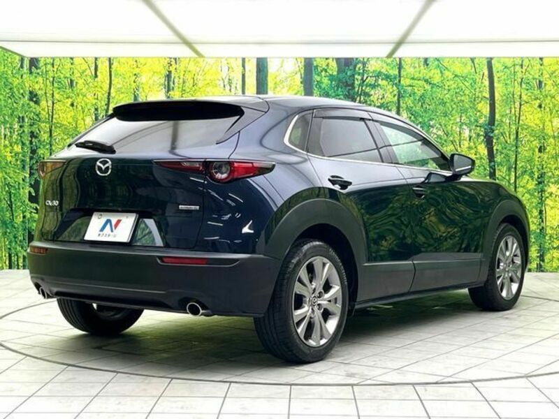 CX-30