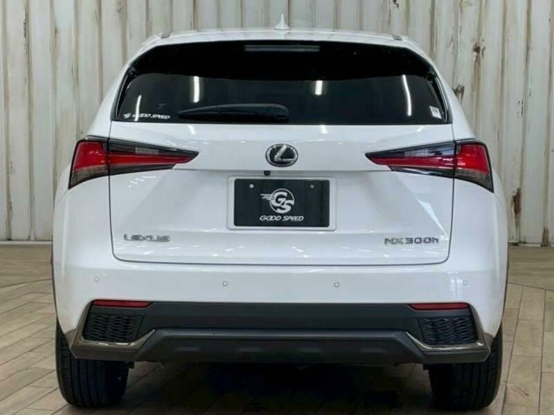 NX
