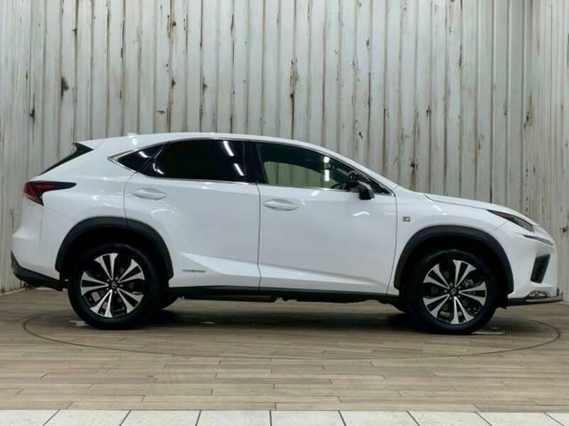 NX