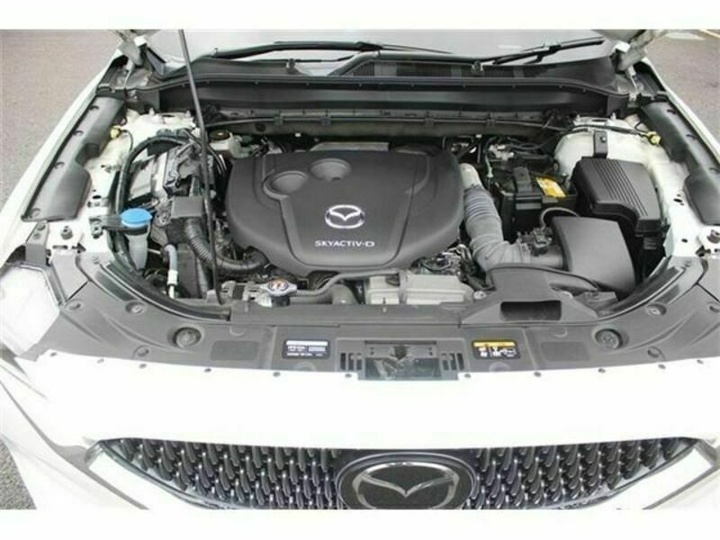 CX-8