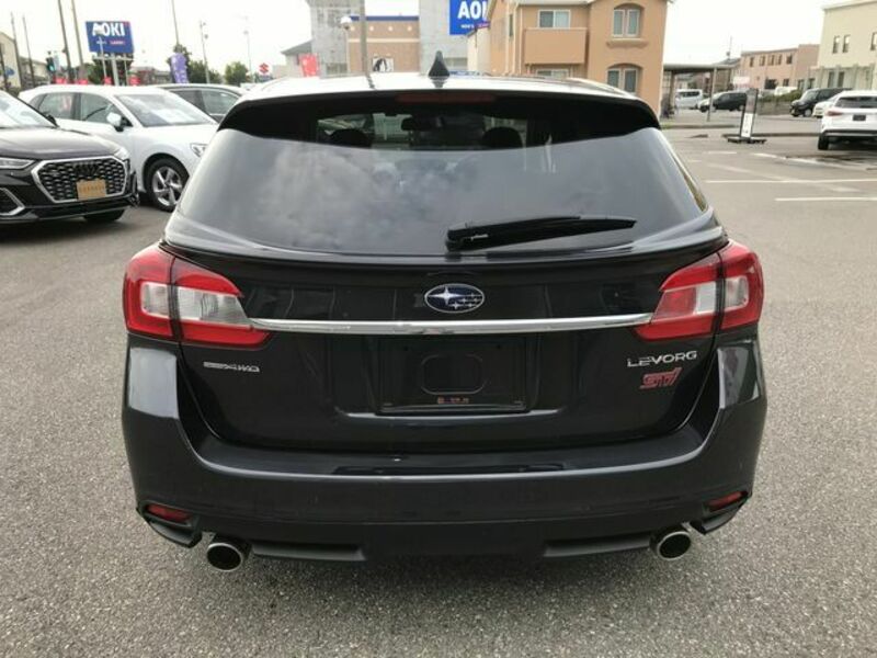 LEVORG