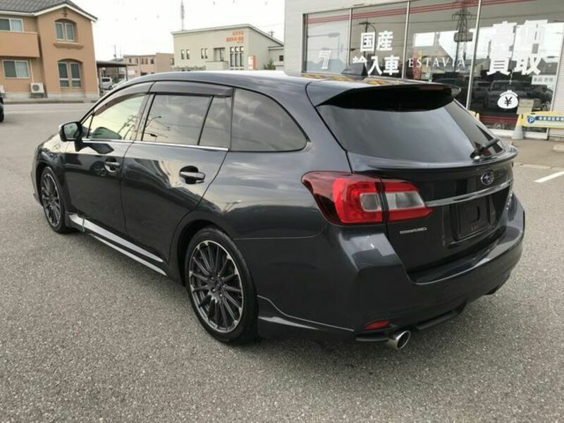 LEVORG
