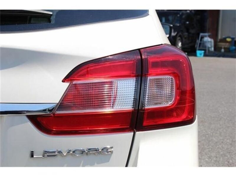 LEVORG