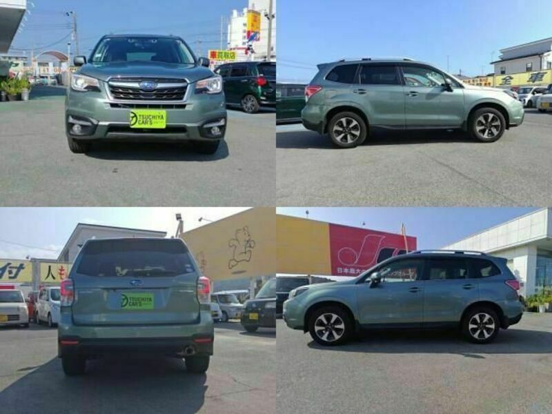 FORESTER
