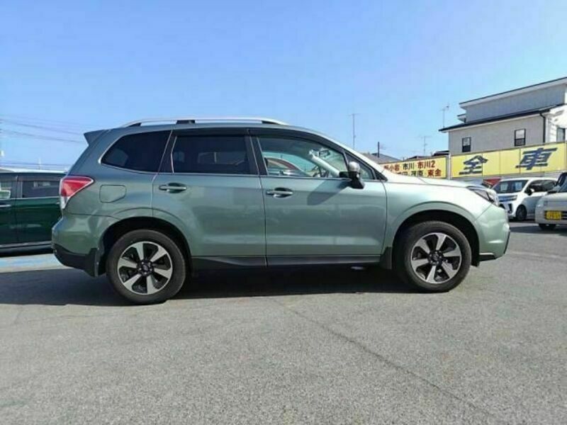 FORESTER