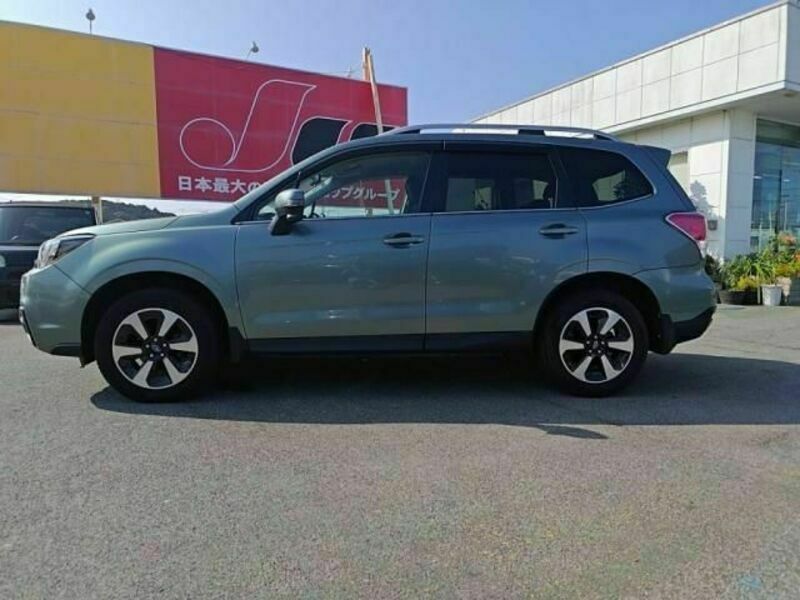 FORESTER