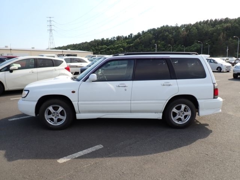 FORESTER