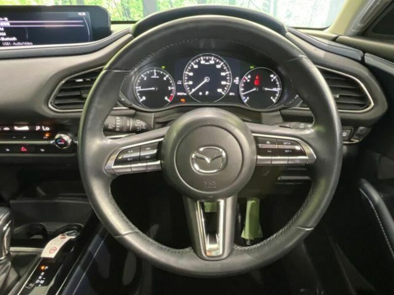 CX-30