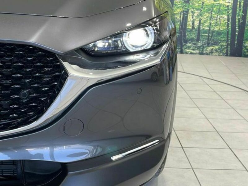 CX-30