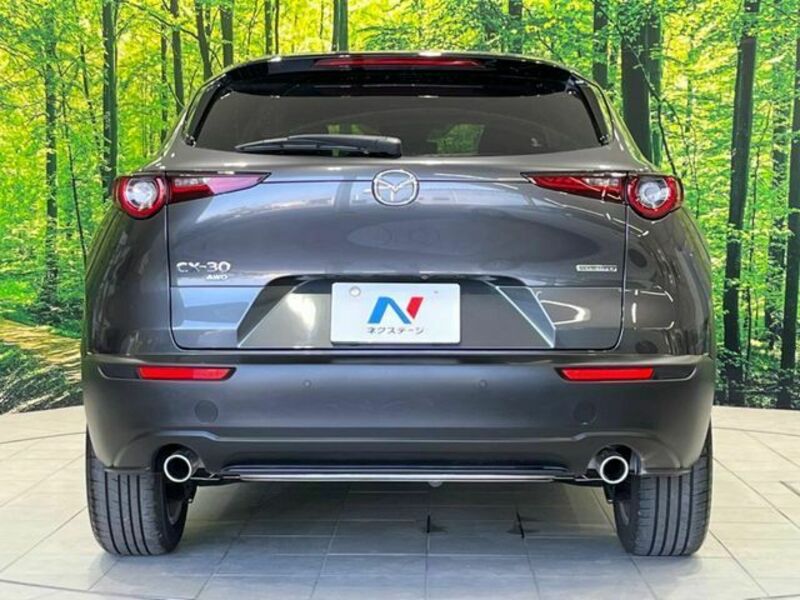 CX-30