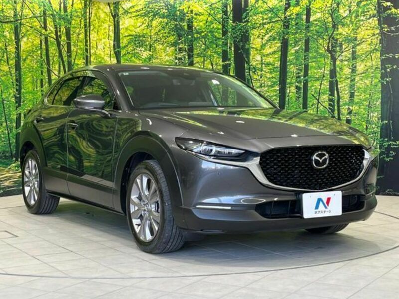 CX-30