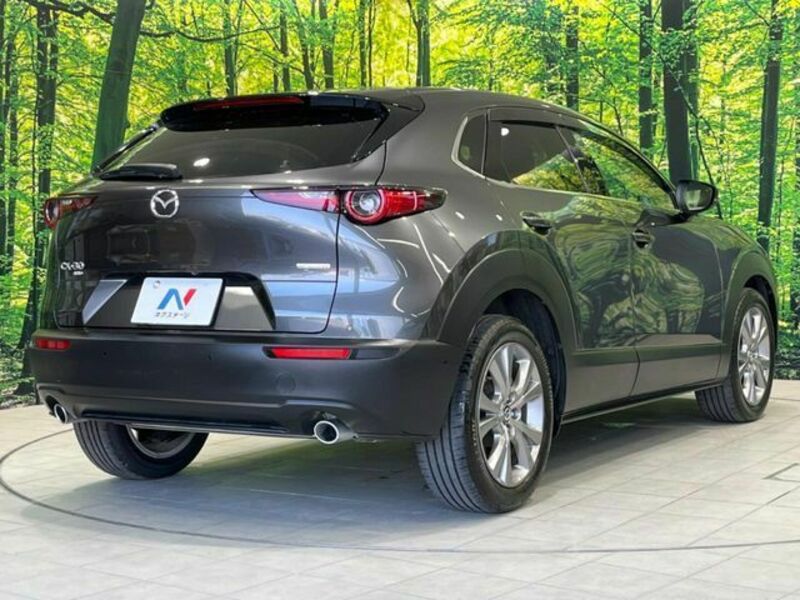 CX-30