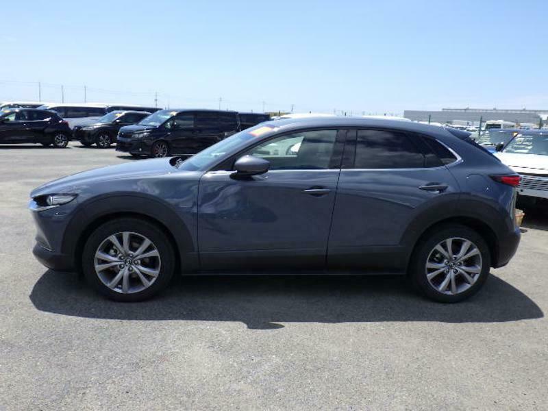 CX-30