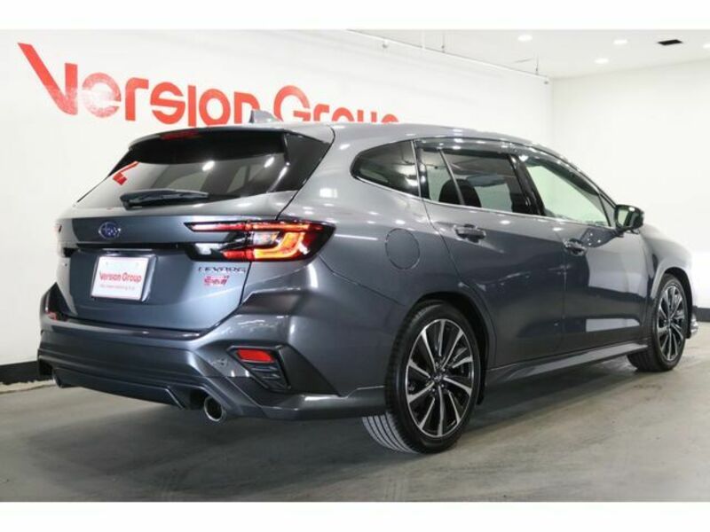 LEVORG