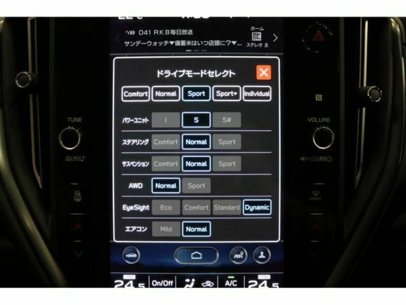 LEVORG