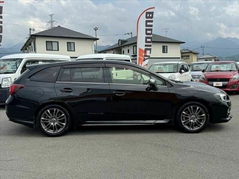 LEVORG