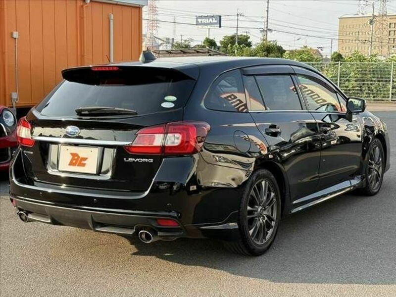 LEVORG