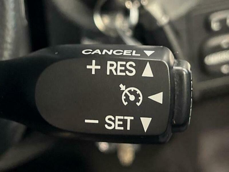 FJ CRUISER