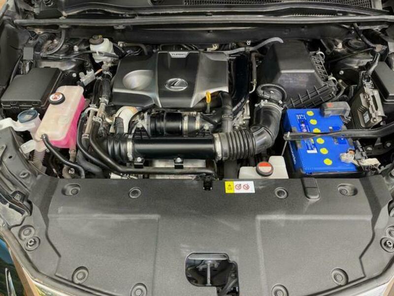 NX