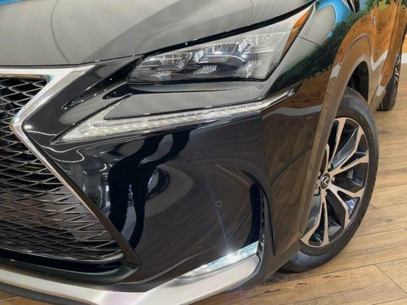 NX