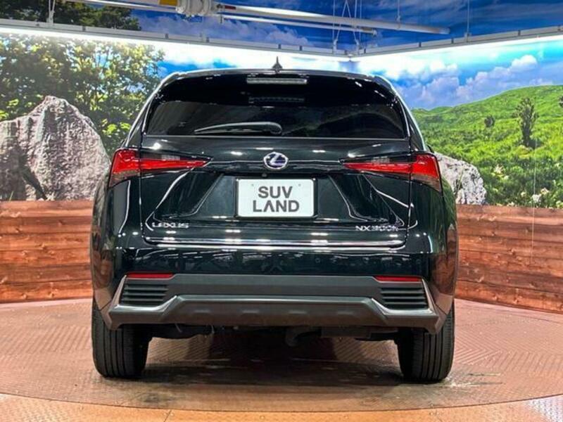 NX