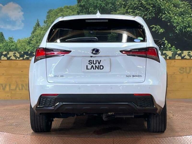 NX