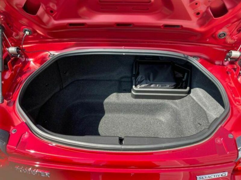 ROADSTER RF