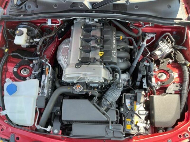 ROADSTER RF