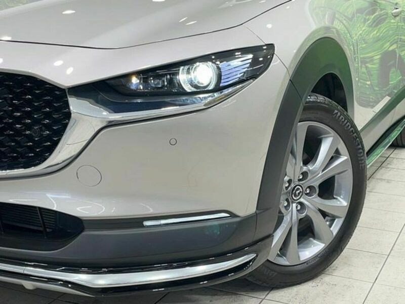 CX-30