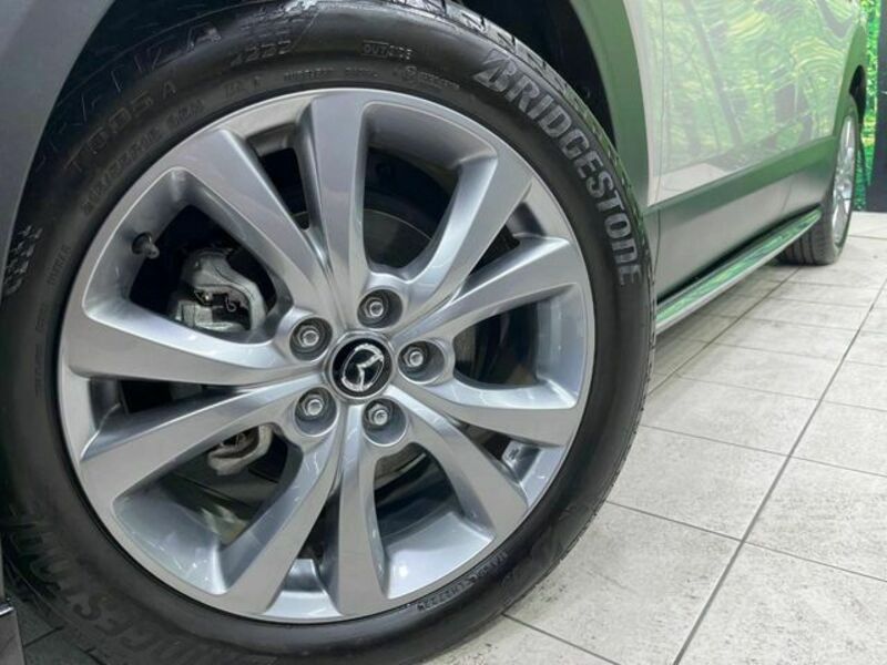 CX-30