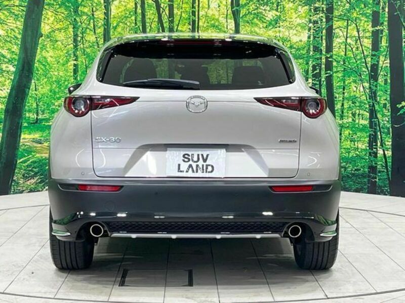 CX-30