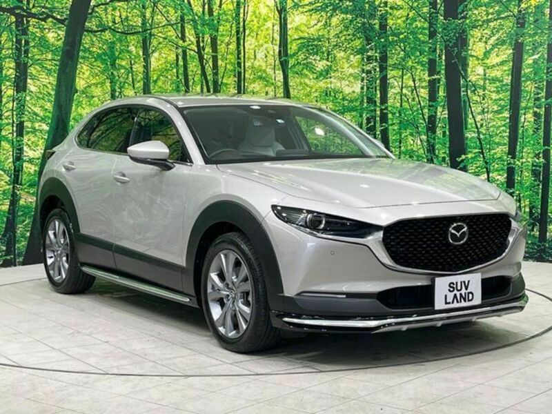 CX-30