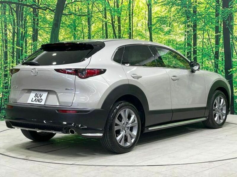 CX-30