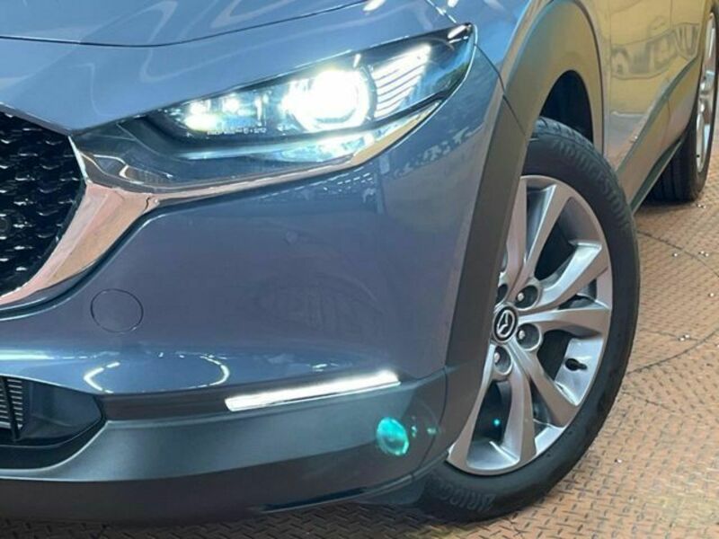 CX-30