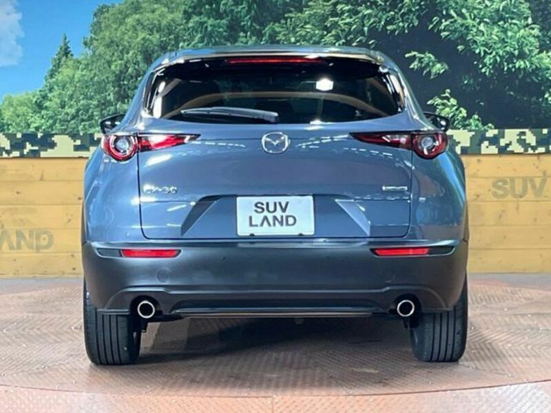 CX-30