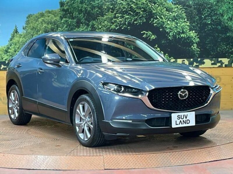 CX-30