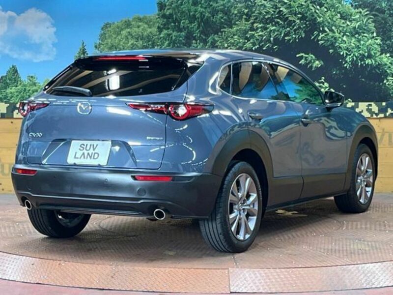 CX-30