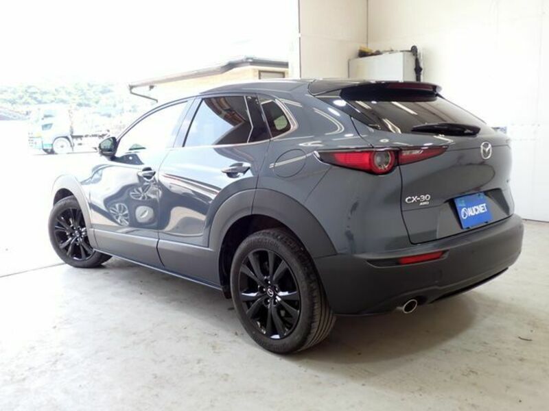 CX-30