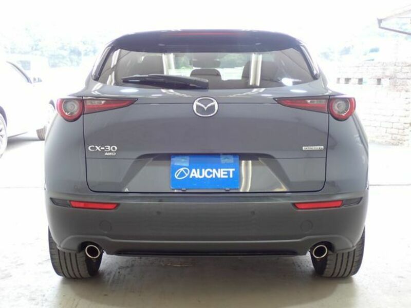 CX-30
