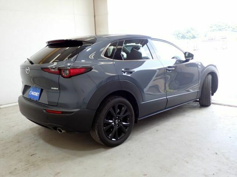 CX-30