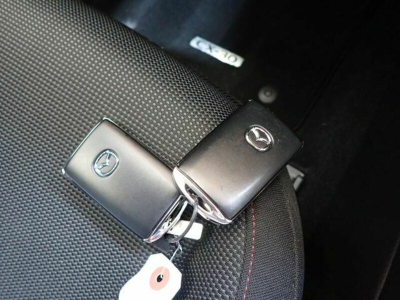 CX-30