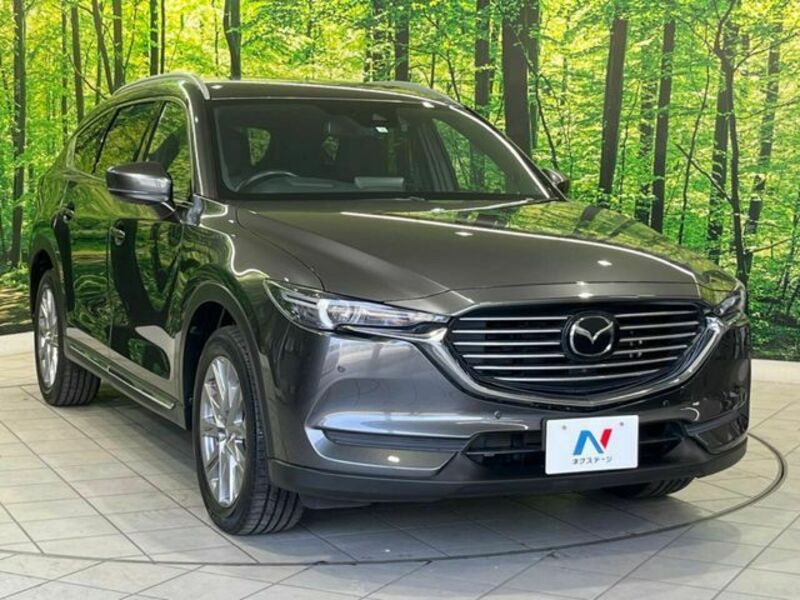 CX-8
