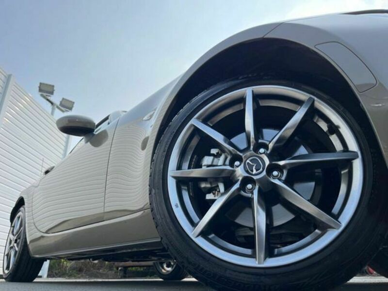 ROADSTER RF