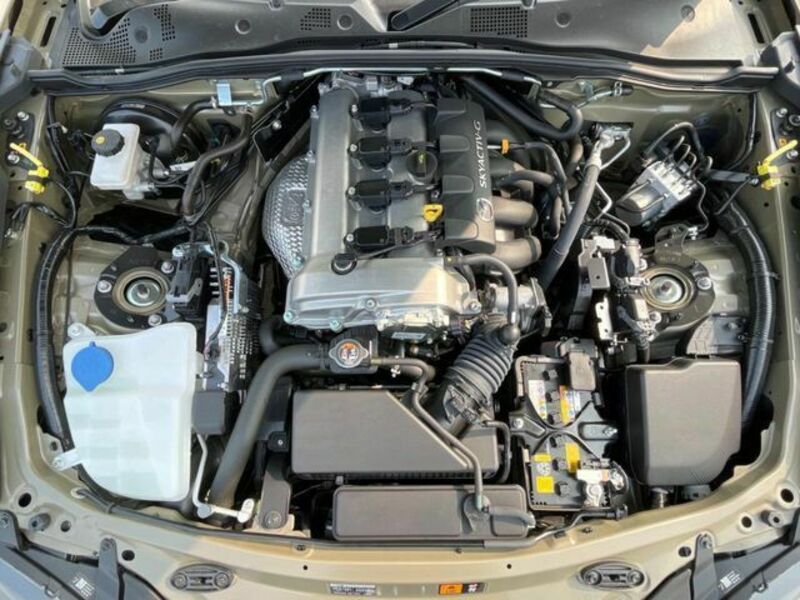 ROADSTER RF