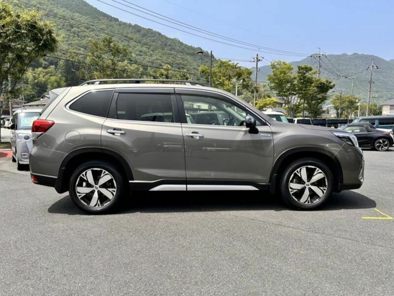 FORESTER