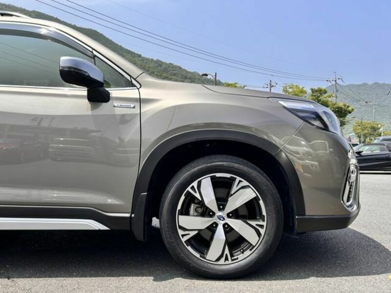 FORESTER