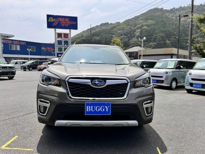FORESTER