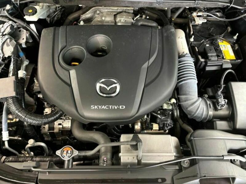 CX-8