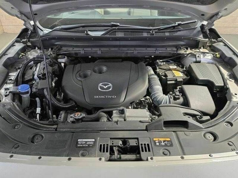 CX-8