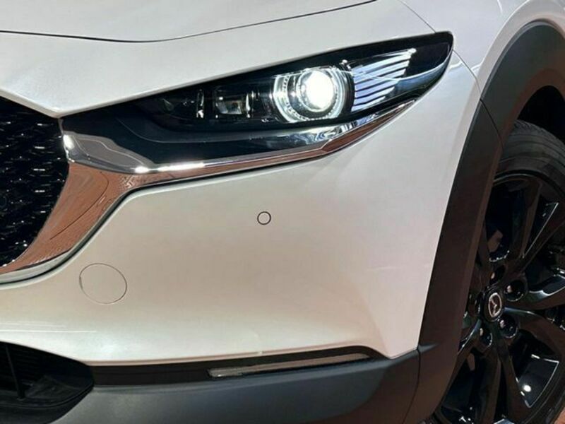 CX-30